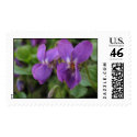 Sweet Purple Violets postage by kokobaby Sweet Purple Violets postage