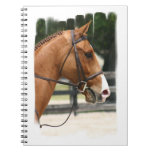Sweet Quarter Horse Notebook