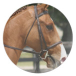 Sweet Quarter Horse Plate