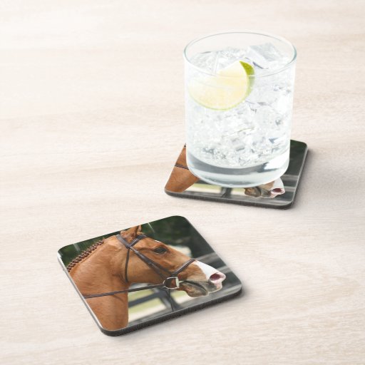 Sweet Quarter Horse Set of Coasters