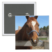 Sweet Quarter Horse Square Pin
