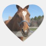 Sweet Quarter Horse Stickers