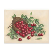 Sweet Red Cherries Postcard