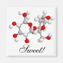 Sweet! Refrigerator Magnet