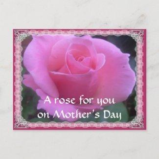 Sweet Rose postcard