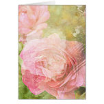 Sweet Roses Greeting Cards