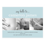 Sweet Scallops Birth Announcement - Baby Boy postcards