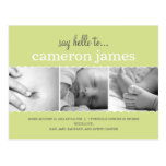 Sweet Scallops Birth Announcement - Neutral Gender postcards