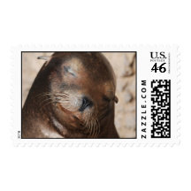 Sweet Sea Lion Postage Stamp
