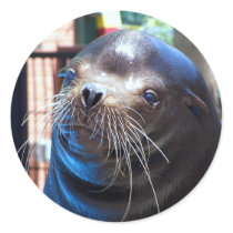 Sweet Sea Lion stickers by Quiltstar Sweet Sea Lion stickers