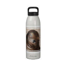 Sweet Sea Lion Water Bottle