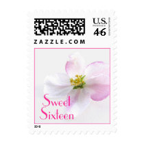 Sweet Sixteen Postage