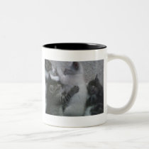 Sweet Sleeping KITTAYS_FOUR mugs