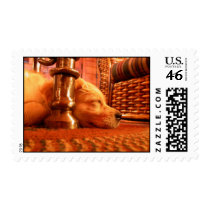 Sweet Sleepy Tess postage by ddesautels Sweet Sleepy Tess postage