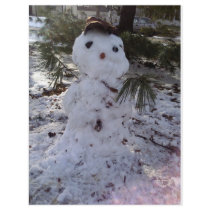SweeT SNoWMaN flyers