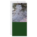 SweeT SNoWMaN Full Color Rack Card