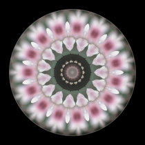 Sweet Soft Pink Mandala Magnet magnets
