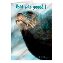 sweet souvenir cards by nefera sweet souvenir cards