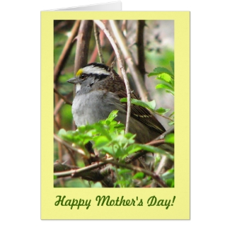 Sweet Sparrow for Mother's Day