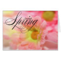 Sweet Spring cards by GreetingsCards Sweet Spring cards