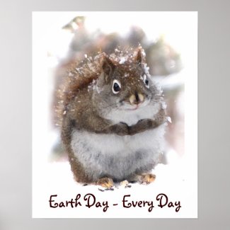 Sweet Squirrel Earth Day Poster
