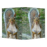 Sweet Squirrel Face binders