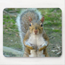 Sweet Squirrel Face mousepads by birdersue Sweet Squirrel Face mousepads