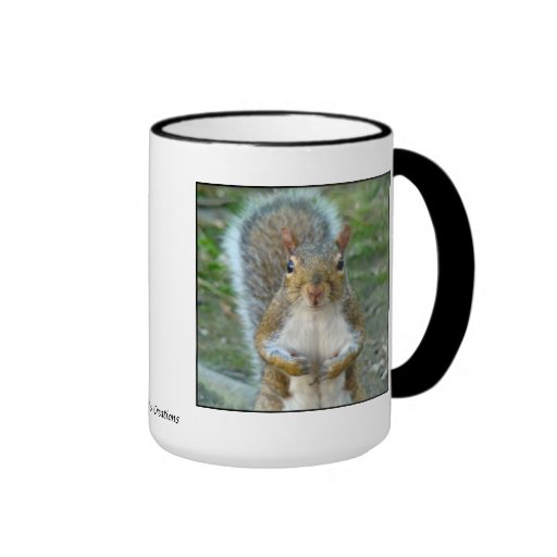 Sweet Squirrel Face Mugs