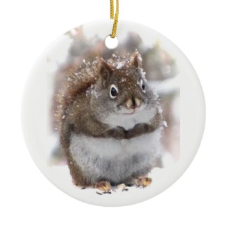 Sweet Squirrel Christmas Tree Ornaments