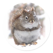 Sweet Squirrel Round Stickers