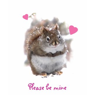 Sweet Squirrel Valentine shirt