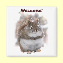 Sweet Squirrel Welcome magnets