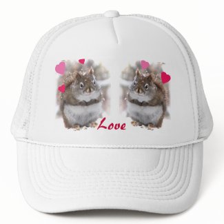 Sweet Squirrels Valentine Mesh Hats