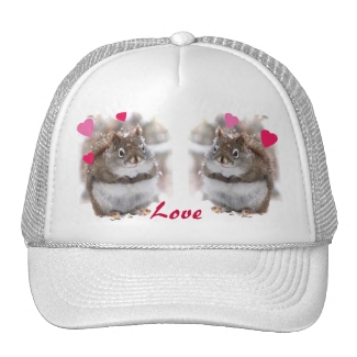 Sweet Squirrels Valentine