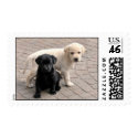 sweet stamps by stregatto sweet stamps