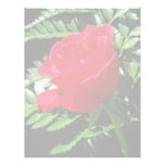 Sweet success flowers letterhead design