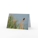 Sweet Summer Rest Card