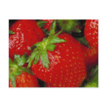 Sweet Summer Strawberries Post Cards