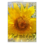Sweet Summer Sunflower Cards
