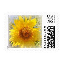 Sweet Summer Sunflower postage