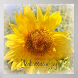 Sweet Summer Sunflower Print Sweet Summer Sunflower Print