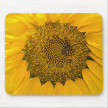 Sweet Sun mousepads