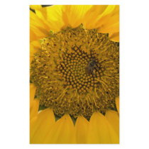 Sweet Sun stationery