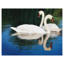 SWEET SWANS FLYER DESIGN