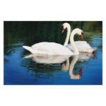 SWEET SWANS stationery