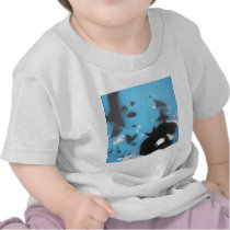 Sweet T Shirt
