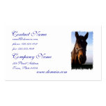 Sweet Thoroughbred Horse Business Cards