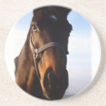 Sweet Thoroughbred Horse Coaster