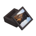 Sweet Thoroughbred Horse Small Gift Box Premium Trinket Boxes