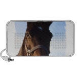 Sweet Thoroughbred Horse Speakers